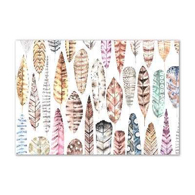 Glasbild Bunte Federn