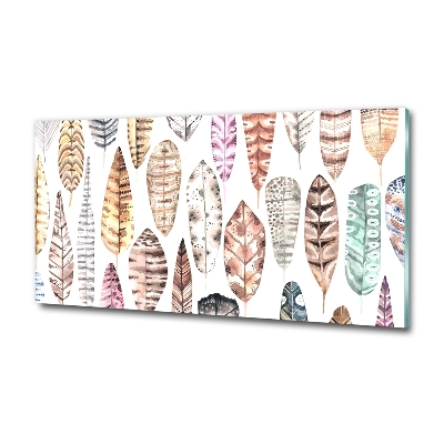 Glasbild Bunte Federn