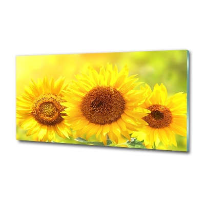 Foto glasbild Sonnenblumen