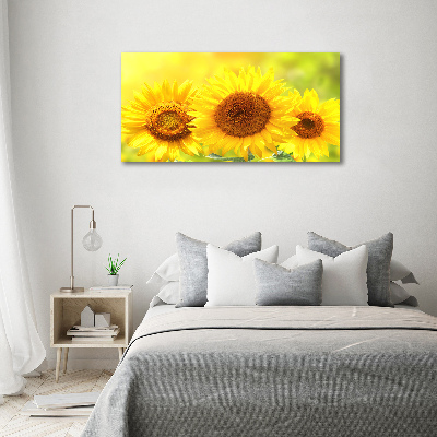 Foto glasbild Sonnenblumen