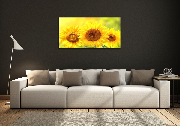 Foto glasbild Sonnenblumen