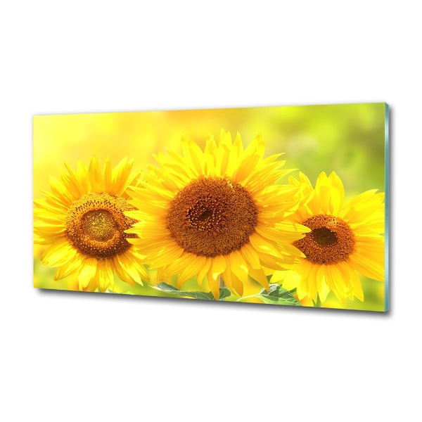 Foto glasbild Sonnenblumen
