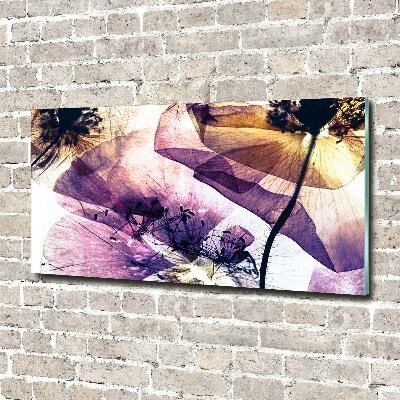 Glasbild Getrocknete Mohnblumen