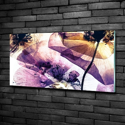 Glasbild Getrocknete Mohnblumen