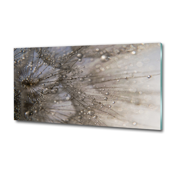 Bild auf glas Löwenzahnsamen