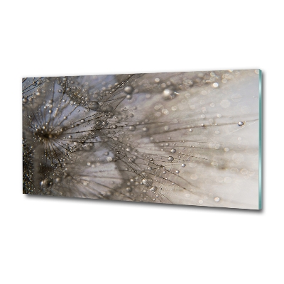 Bild auf glas Löwenzahnsamen