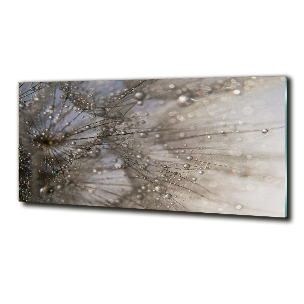 Bild auf glas Löwenzahnsamen