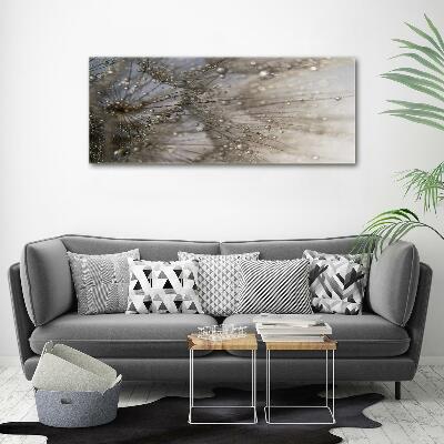 Bild auf glas Löwenzahnsamen