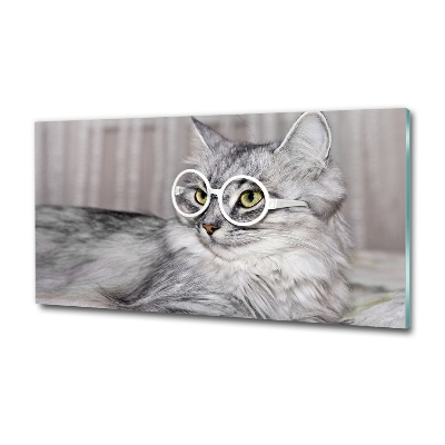 Glasbild Katze mit Brille