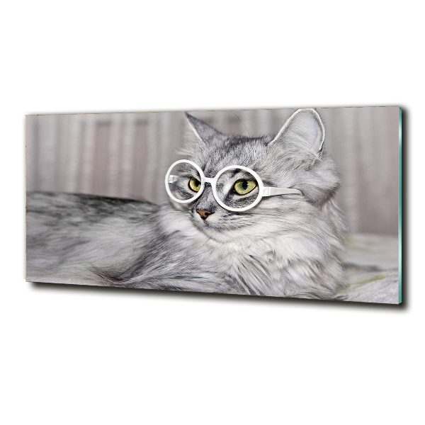 Glasbild Katze mit Brille