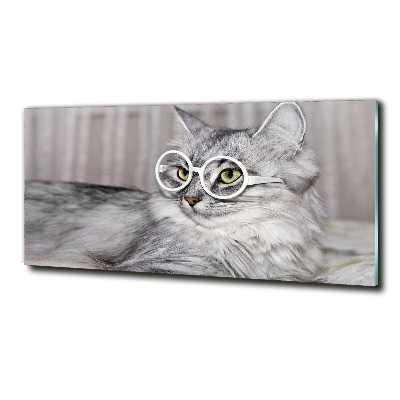 Glasbild Katze mit Brille