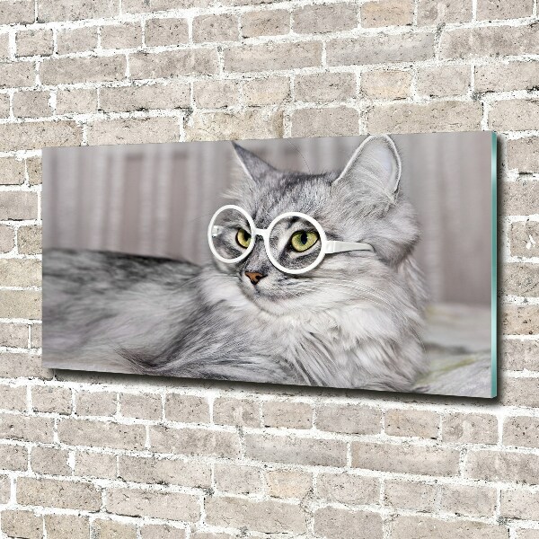 Glasbild Katze mit Brille