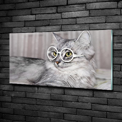 Glasbild Katze mit Brille