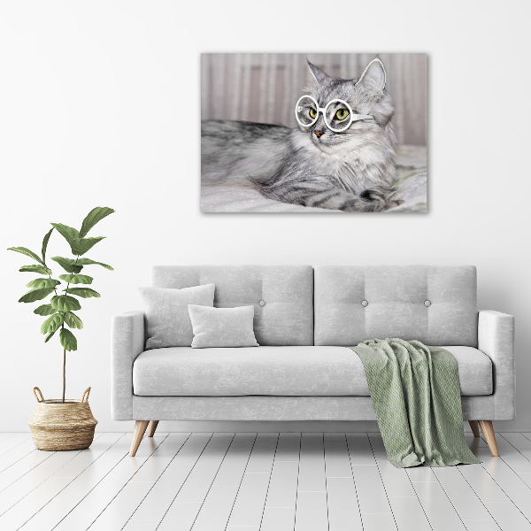 Glasbild Katze mit Brille