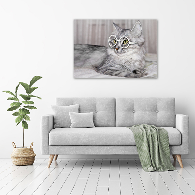 Glasbild Katze mit Brille