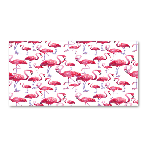 Bild auf glas Flamingos