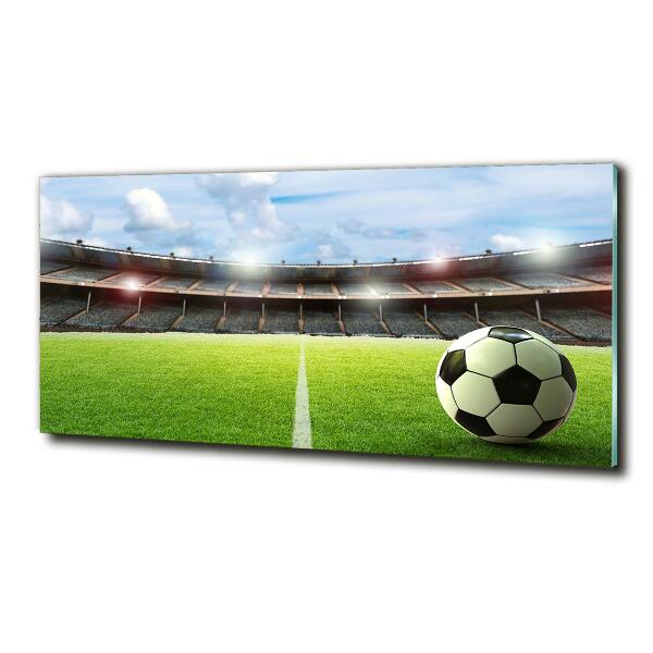 Bild auf glas Der Ball auf dem Spielfeld