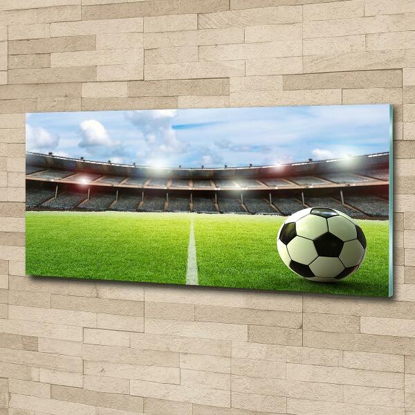 Bild auf glas Der Ball auf dem Spielfeld