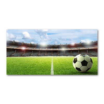 Bild auf glas Der Ball auf dem Spielfeld