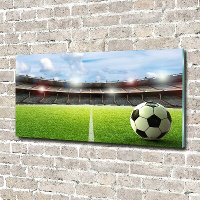 Bild auf glas Der Ball auf dem Spielfeld