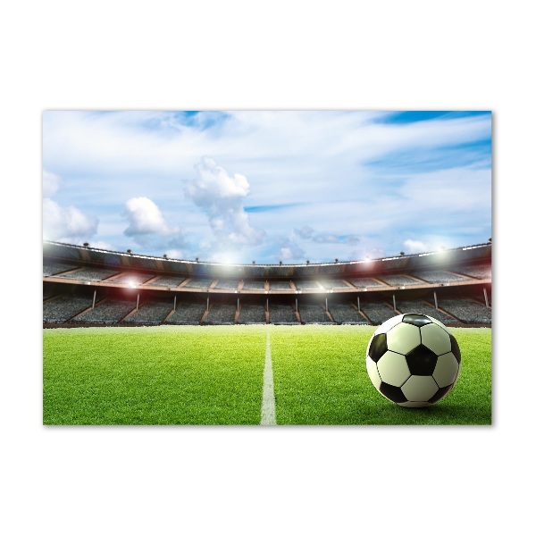 Bild auf glas Der Ball auf dem Spielfeld