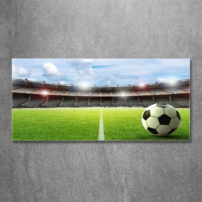 Bild auf glas Der Ball auf dem Spielfeld