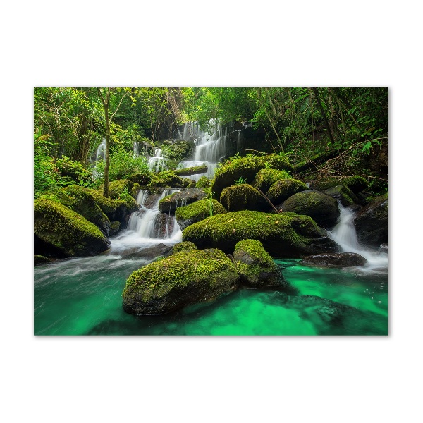 Foto glasbild Wasserfall im Wald