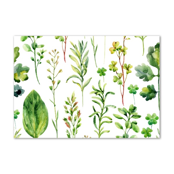 Foto glasbild Kräuter und Unkräuter