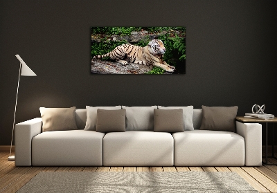 Bild auf glas Tiger auf einem Felsen