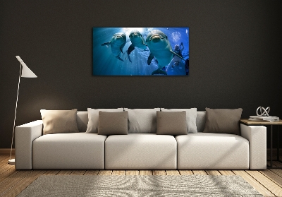 Bild auf glas Drei Delfine