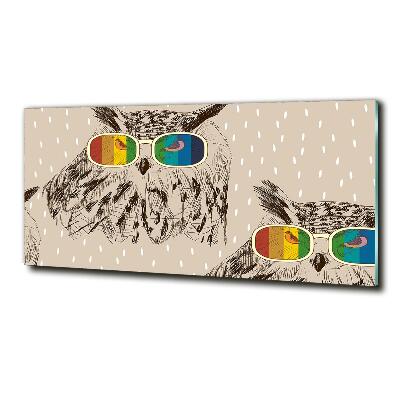 Glasbild Eulen mit Brille