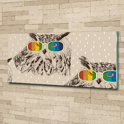 Glasbild Eulen mit Brille