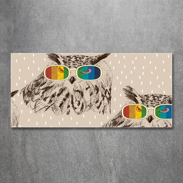 Glasbild Eulen mit Brille