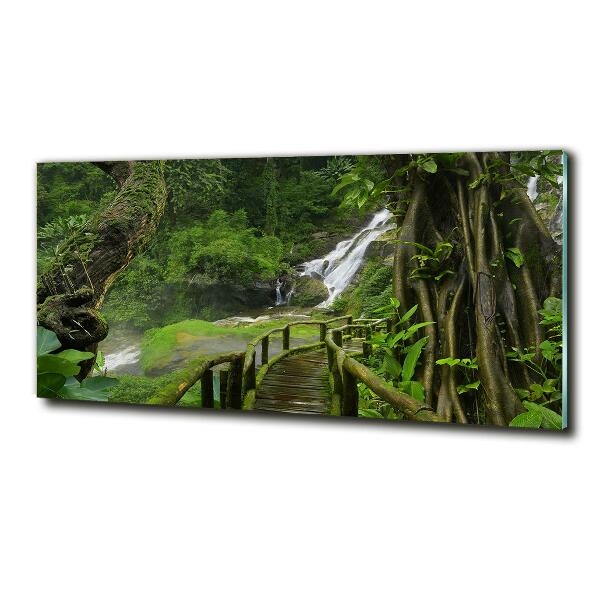 Foto glasbild Wasserfall im Dschungel