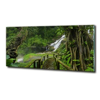 Foto glasbild Wasserfall im Dschungel