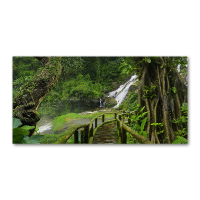 Foto glasbild Wasserfall im Dschungel