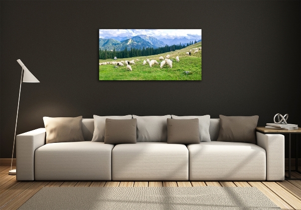Bild auf glas Schafe in der Tatra