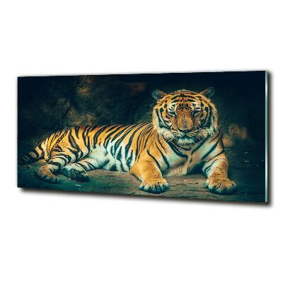 Foto glasbild Tiger in der Höhle