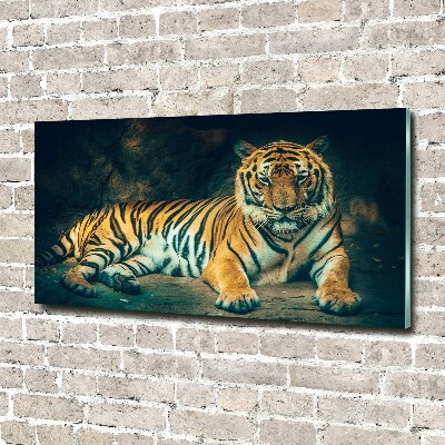 Foto glasbild Tiger in der Höhle