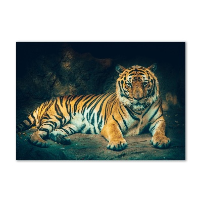 Foto glasbild Tiger in der Höhle