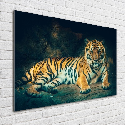 Foto glasbild Tiger in der Höhle