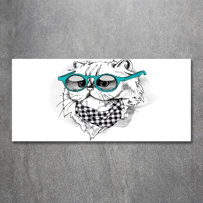 Glasbild Katze mit Brille