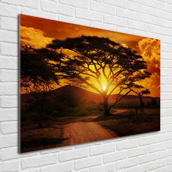 Bild auf glas Westafrika