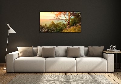 Glasbild Skandinavischer See