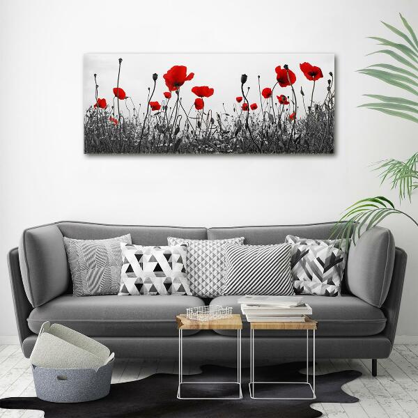 Foto glasbild Mohnblumen