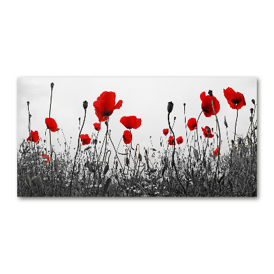 Foto glasbild Mohnblumen