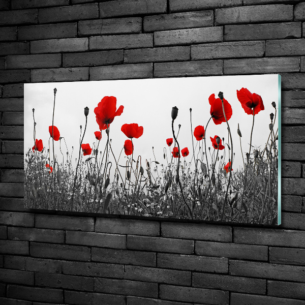 Foto glasbild Mohnblumen