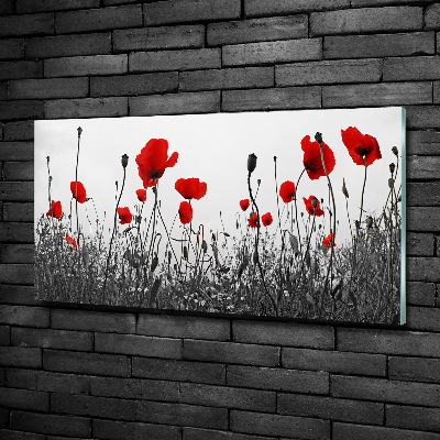 Foto glasbild Mohnblumen