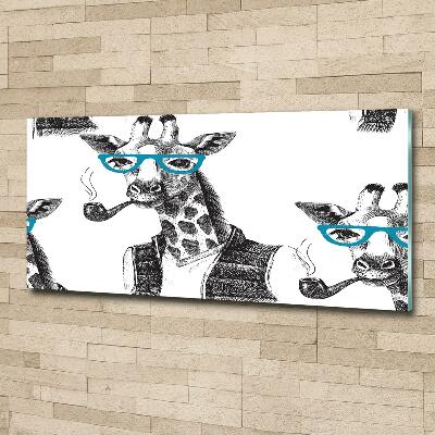 Bild auf glas Giraffe mit Brille
