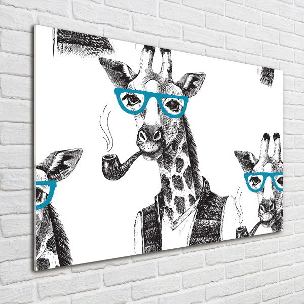 Bild auf glas Giraffe mit Brille